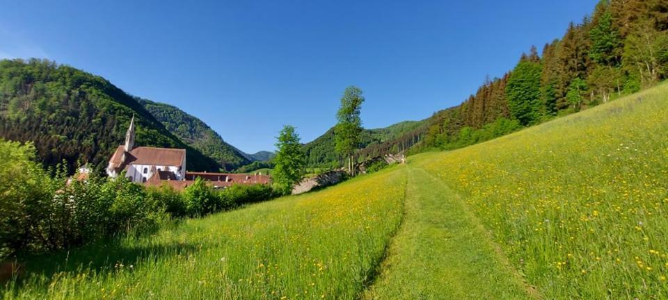 Ferienwohnung Bergspaß Gaming Exterior foto